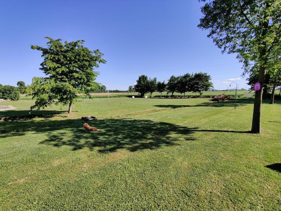 Agriturismo La Sophora Montegaldella Eksteriør billede